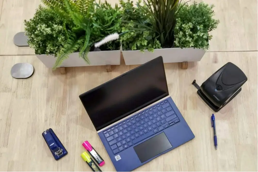 Diseño biofílico en coworking