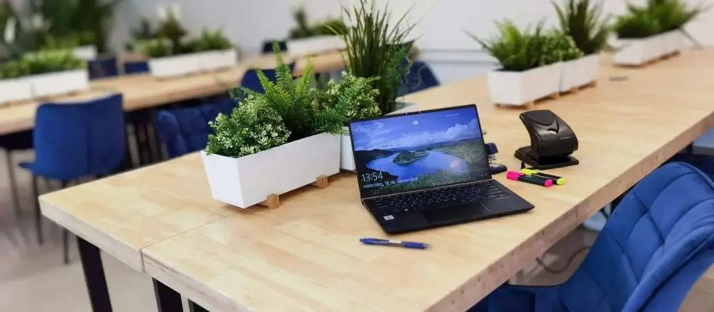 Qué es el diseño biofílico y por qué importa